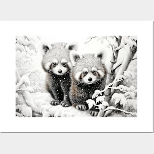 Red Panda Animal Discovery Wild Nature Ink Sketch Style Posters and Art